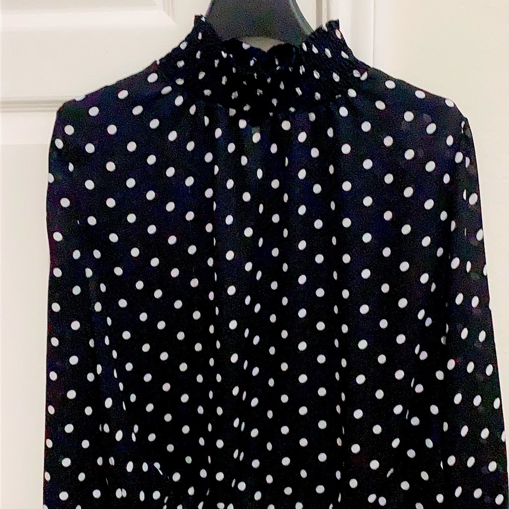 Black organza blouse